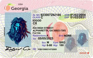 Georgia ID
