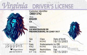 Virginia ID